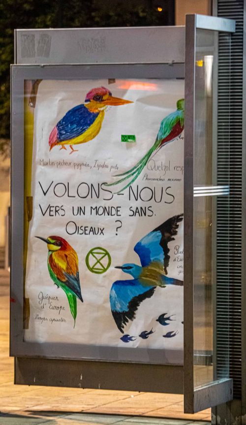 Actions Antipub XR Montpellier