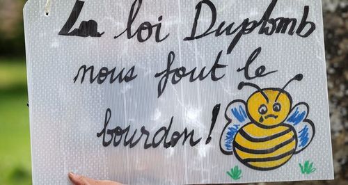Quelles suites à la pétition contre la loi Duplomb ?