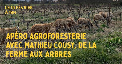 Apéro agroforesterie avec Mathieu Cousy de la Ferme aux Arbres