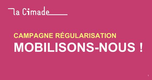 Campagne Avoir des papiers c'est pas donné à tout le monde. Liberté égalité régularisez! La Cimade et ses partenaires