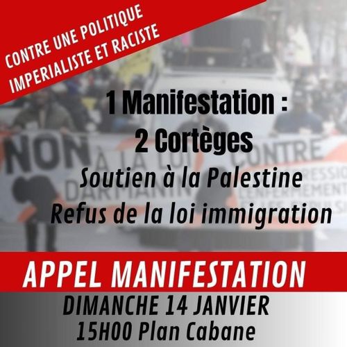 Manifestation unie contre la loi immigration et pour les droits des Palestinien·nes