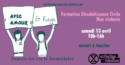 Formation désobéissance civile non violente