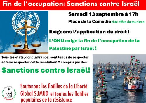 Rassemblement contre le génocide à Gaza et la fin de l'occupation et de la colonisation de la Palestine