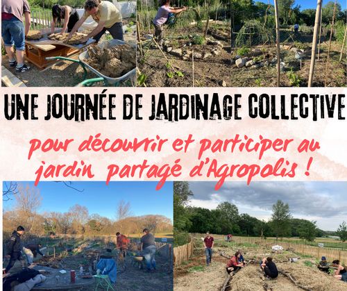 Journée de jardinage collectif au jardin d'Agropolis
