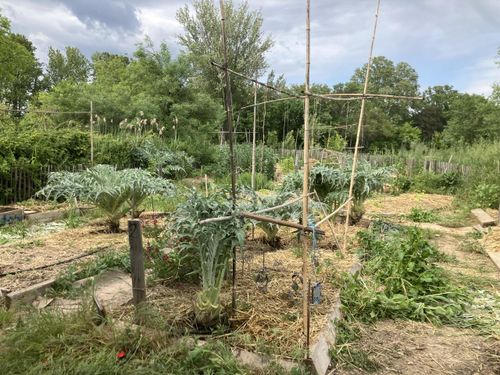 Sol vivant, amendement et paillage