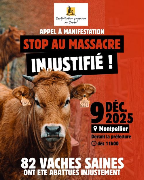 Dermatose nodulaire contagieuse (DNC) : non à l'abattage des troupeaux !